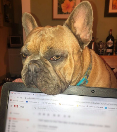 Rice Consulting has a new co-worker